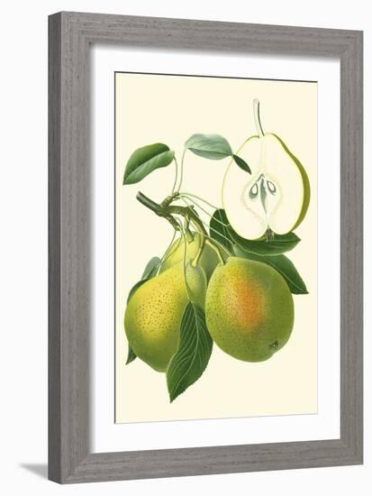 Antique Green Pear-Vision Studio-Framed Art Print