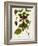 Antique Greenery I-Unknown-Framed Art Print