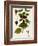 Antique Greenery I-Unknown-Framed Art Print