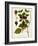 Antique Greenery I-Unknown-Framed Art Print