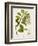 Antique Greenery III-Unknown-Framed Premium Giclee Print