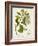 Antique Greenery III-Unknown-Framed Art Print