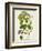 Antique Greenery IV-Unknown-Framed Premium Giclee Print