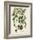 Antique Greenery V-Unknown-Framed Art Print