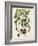 Antique Greenery V-Unknown-Framed Art Print