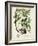 Antique Greenery V-Unknown-Framed Art Print