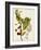 Antique Greenery VI-Unknown-Framed Art Print