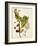 Antique Greenery VI-Unknown-Framed Art Print