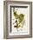 Antique Greenery VI-Unknown-Framed Premium Giclee Print