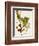 Antique Greenery VI-Unknown-Framed Premium Giclee Print