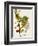 Antique Greenery VI-Unknown-Framed Premium Giclee Print