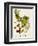 Antique Greenery VI-Unknown-Framed Premium Giclee Print