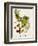 Antique Greenery VI-Unknown-Framed Premium Giclee Print