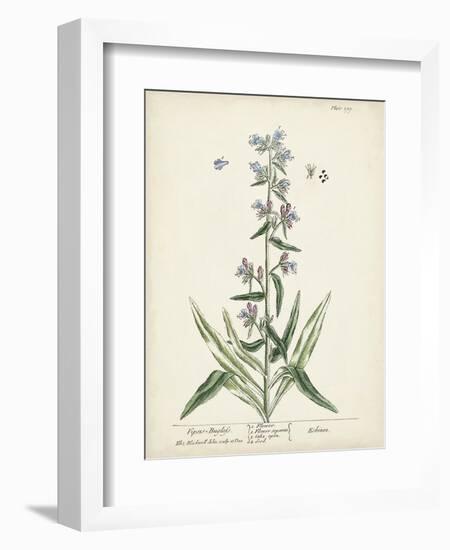 Antique Herbs II-Unknown-Framed Art Print