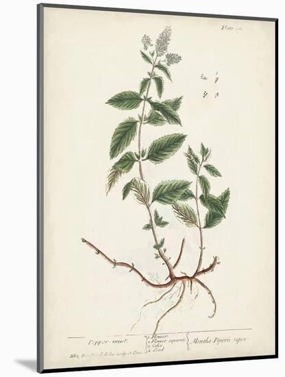 Antique Herbs VII-Unknown-Mounted Art Print