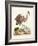 Antique Heron & Cranes III-George Edwards-Framed Art Print