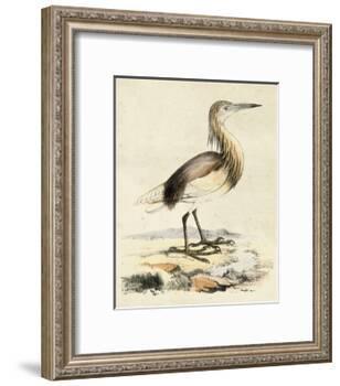 Antique Heron I-null-Framed Art Print