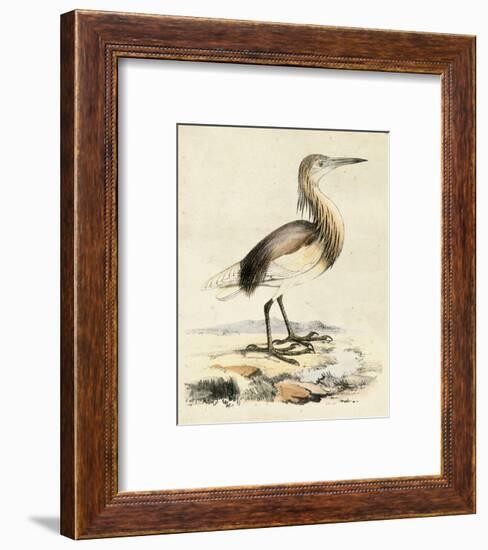 Antique Heron I-null-Framed Art Print