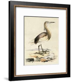 Antique Heron I-null-Framed Art Print