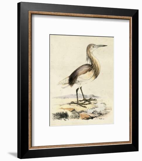 Antique Heron I-null-Framed Art Print