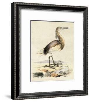 Antique Heron I-null-Framed Art Print