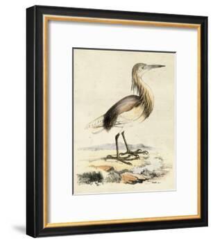 Antique Heron I-null-Framed Art Print