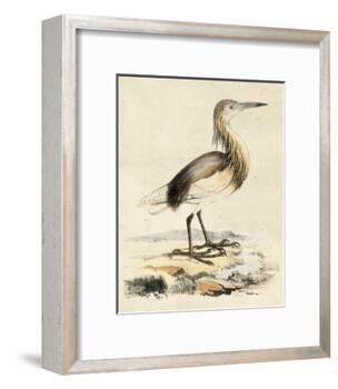 Antique Heron I-null-Framed Art Print