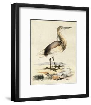 Antique Heron I-null-Framed Art Print