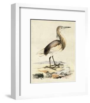 Antique Heron I-null-Framed Art Print