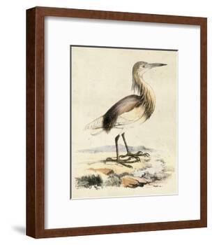 Antique Heron I-null-Framed Art Print