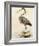 Antique Heron II-null-Framed Giclee Print