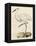 Antique Heron III-null-Framed Stretched Canvas