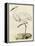 Antique Heron III-null-Framed Stretched Canvas