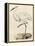 Antique Heron III-null-Framed Stretched Canvas