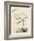 Antique Heron III-null-Framed Art Print