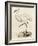 Antique Heron III-null-Framed Art Print