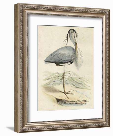 Antique Heron IV-null-Framed Art Print