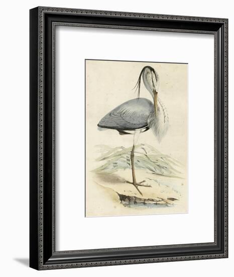 Antique Heron IV-null-Framed Art Print