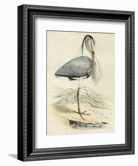 Antique Heron IV-null-Framed Art Print