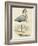 Antique Heron IV-null-Framed Art Print