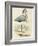 Antique Heron IV-null-Framed Art Print