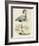 Antique Heron IV-null-Framed Art Print