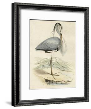 Antique Heron IV-null-Framed Art Print