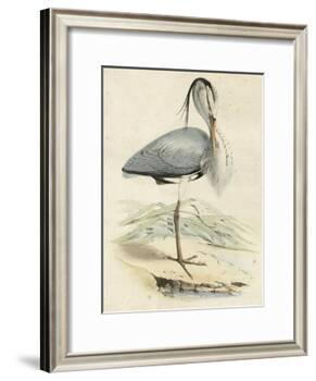 Antique Heron IV-null-Framed Art Print