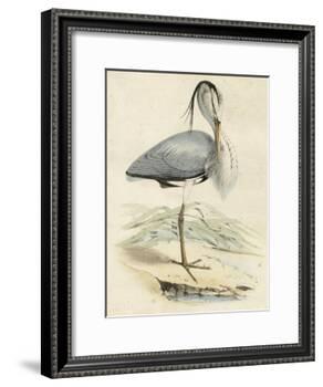 Antique Heron IV-null-Framed Art Print