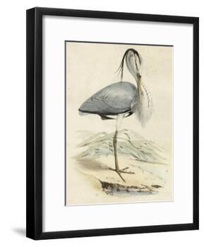 Antique Heron IV-null-Framed Art Print