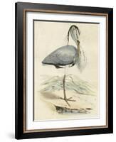 Antique Heron IV-null-Framed Art Print