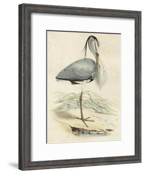 Antique Heron IV-null-Framed Art Print