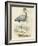 Antique Heron IV-null-Framed Art Print