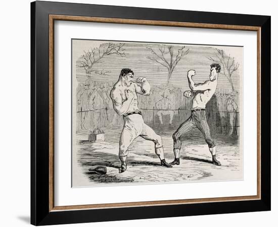 Antique Humorous Illustration Of A Boxing Match Beginning-marzolino-Framed Art Print